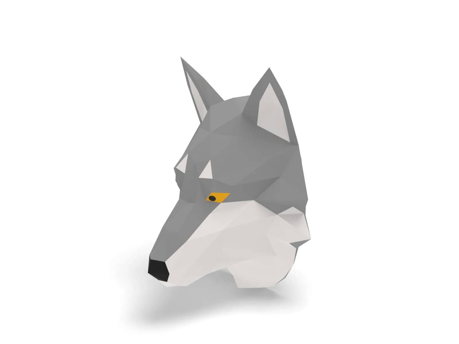 Trophée loup gris en papier, vue de trois quarts avant gauche